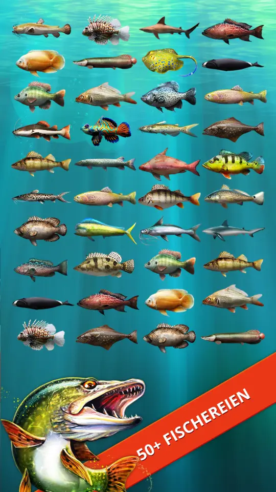 Dritter Screenshot aus dem Play-Store-Eintrag von Let's Fish, Hochformat
